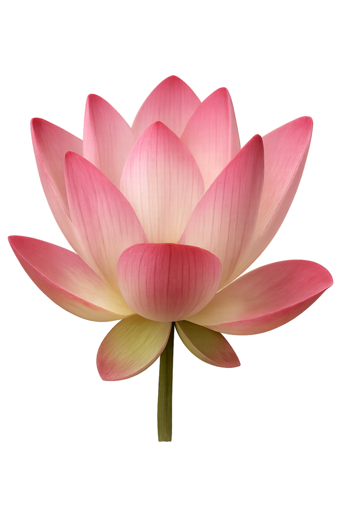 ChatGPT Image 23 de mai. de 2025, 21_12_09 Flor de lótus